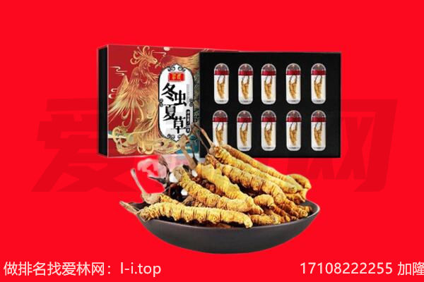 湘潭回收虫草.jpg